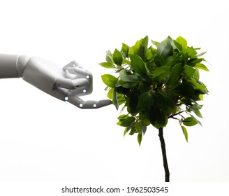 Ecology Technology Concept With Robot Arm With Green Leaves Isolated On White