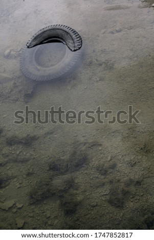 Image, Stock Photo Dead Dove IV Pigeon Animal