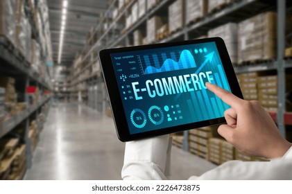 E-commerce data software provide modish dashboard for sale analysis to the online retail business - Powered by Shutterstock - Get 15% off with code: PIKWIZARD15