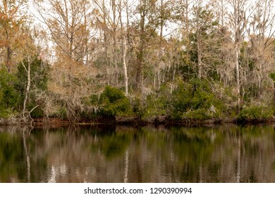 Econlockhatchee River In Orlando Florida 