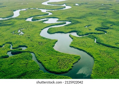 Ecosystem and Healthy Environment. Concepts and Nature Background. Tropical Rainforest. Aerial Top View.  - Shutterstock ID 2125922042