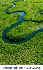 Ecosistema y entorno saludable. Conceptos y antecedentes naturales. Bosque tropical tropical. Vista aérea superior. 