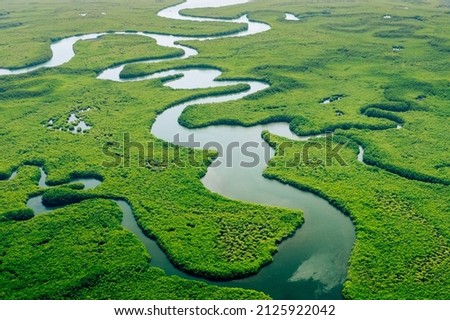 Ecosystem and Healthy Environment. Concepts and Nature Background. Tropical Rainforest. Aerial Top View. 