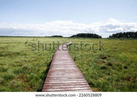 ecotourism trail made of wood