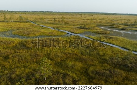 Ecotrail with wooden decking in the swamp. Wild mire of Yelnya in Belarus. walking wooden path to the swamp. East European swamps and Peat Bogs. Ecological reserve in wildlife. Swampy land and wetland