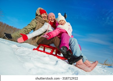 Ecstatic Family On Sledge Having Fun In Winter