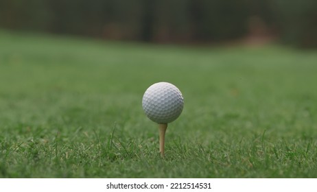 ECU Close Up Golf Ball Standing On The Turf