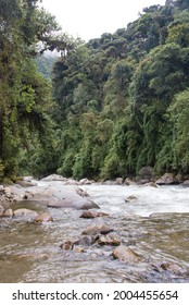 Ecuador. Cloud Forest Cayambe Coca National Reserve Papallacta River