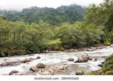 Ecuador. Cloud Forest Cayambe Coca National Reserve Papallacta River