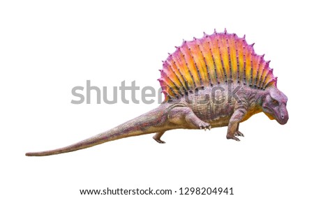 Edaphosaurus is a herbivore genus of Edaphosaurid Synapsid that lived on Permian periods isolated on white background with clipping path
