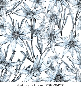 Edelweiss pattern blue flower graphics