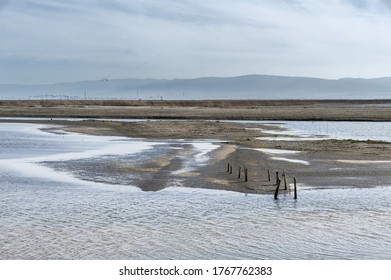 Eden Landing Wetlands In Hayward, California.