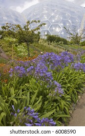 Eden Project Cornwall England Uk