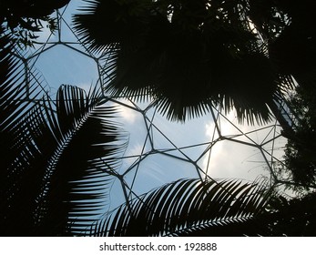 Eden Project Cornwall UK