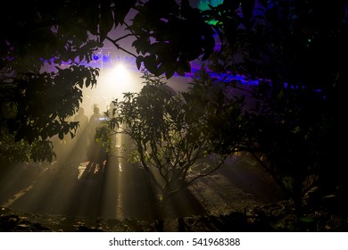 Eden Project Light And Sound Event, Par, Cornwall, UK, Photographs Taken Through Out December 2016. Documentary Editorial. Light Curation Chris Levine.