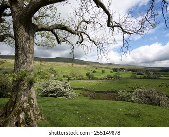 The Eden Valley, N Yorkshire, UK