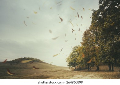 edge of forest with leaves blown by wind