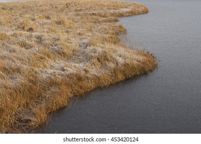 Edge Of A Frozen Loch And Peatland In Forsinard, Scotland/