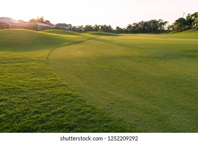 Edge Of The Golf Greens And Course In A Florida Golf Community.