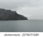 Edge of an island in Pudget Sound 