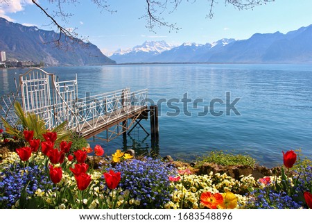 Edge of Lake Leman from Montreux, Switzerland, Viewpoint over the Swiss and French mountains, Alps