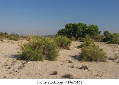 Edge Of The Mojave Desert Wilderness In Southern California Near Santa Clarita Valley.