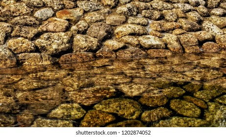 The edge of river