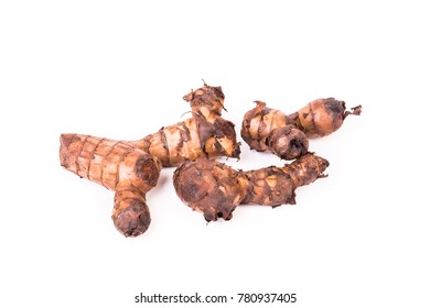 Edible Biennial Plant Head, Canna Edulis Ker. CANNACEAE On White Background