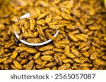 Edible bugs and insects located in a market in Thailand. Many people in Thailand enjoy eating insects as a snack food, often enjoyed with beer. 