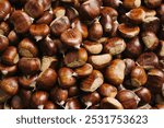 Edible chestnuts texture. Pile of chestnuts grouped together. Brown shells background. Rich autumn tones. Nuts pattern.