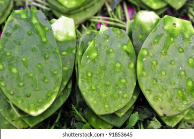 Edible fresh green cactus leaves at the Mexican food open market in Mexico city, Mexico. No people. Copy space