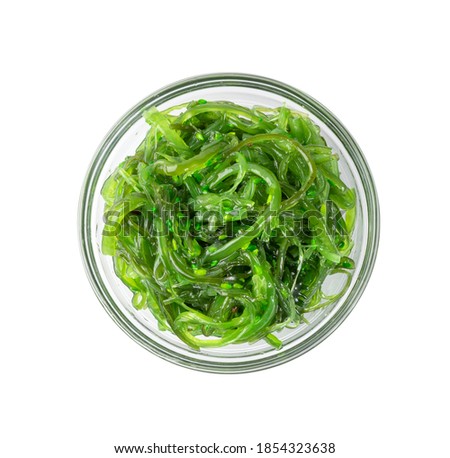 Edible Green Algae, Sea Vegetable Isolated. Green Chuka Seaweed Salad Isolated on White Background. Edible Seaweed Top View