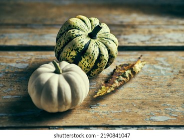 Edible Pumpkin On Rustic Wooden Background. Autumn Arrangement. Copy Space
