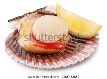 Edible raw opened scallop with lemon slice on white background. Delicacy food. File contains clipping path.
