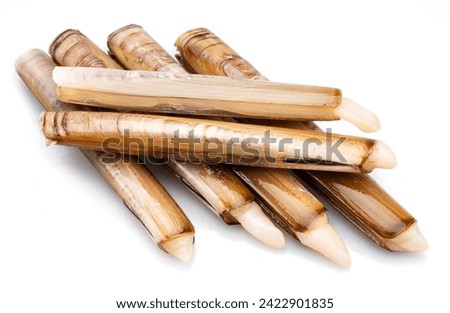 Edible raw razor clams isolated on white background. Delicacy food.