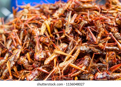 Edible Roasted And Spiced Meal Worms, Fried Bugs And Insects On Street Food In Thailand. Fried Silk Worm Is The Food In Thailand- A Snack Often Used In Asia