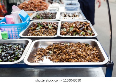 161 Edible roasted and spiced meal worms Images, Stock Photos & Vectors ...