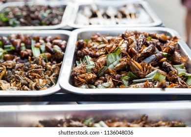 161 Edible roasted and spiced meal worms Images, Stock Photos & Vectors ...