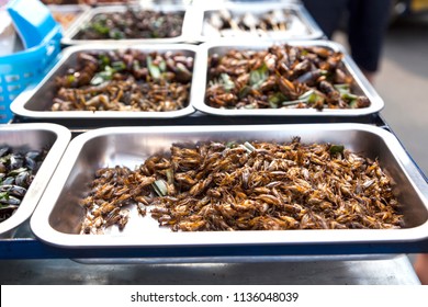 161 Edible roasted and spiced meal worms Images, Stock Photos & Vectors ...