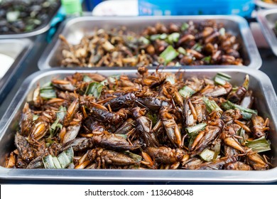 161 Edible roasted and spiced meal worms Images, Stock Photos & Vectors ...