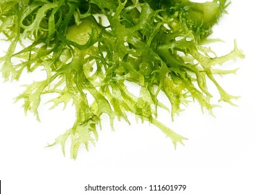 Edible Seaweed Salad On White Background