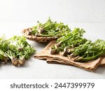 edible shoots of a fatsia