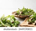 edible shoots of a fatsia