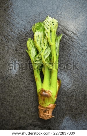 edible shoots of a fatsia