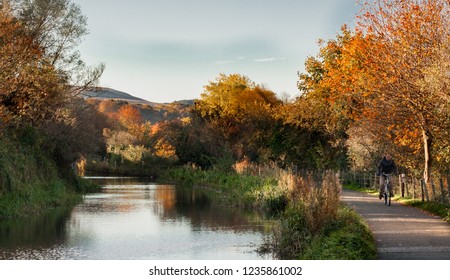 Edinburgh, Scotland. 10/26/18. Man Cycling On A Path By A Union Canal Surrounded By Green Grass And Autumnal Coloured Trees.