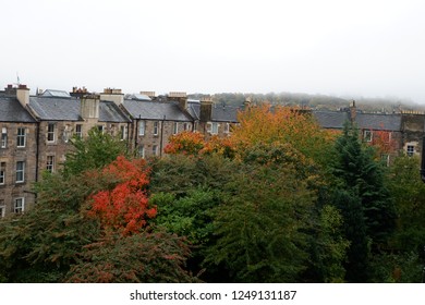 Edinburgh Tenement Mist