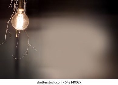 Edison Bulb, Electricity, Light Bulbs, Sanctification, Idea