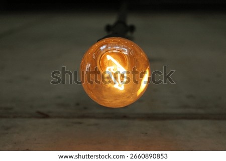 Edison Bulb Front View Closeup