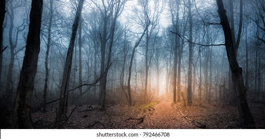 Edison, NJ / USA - November 02, 2017: The Woods Behind The Edison Tower Monument In Edison, New Jersey. 