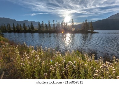 edith lake of jasper national park